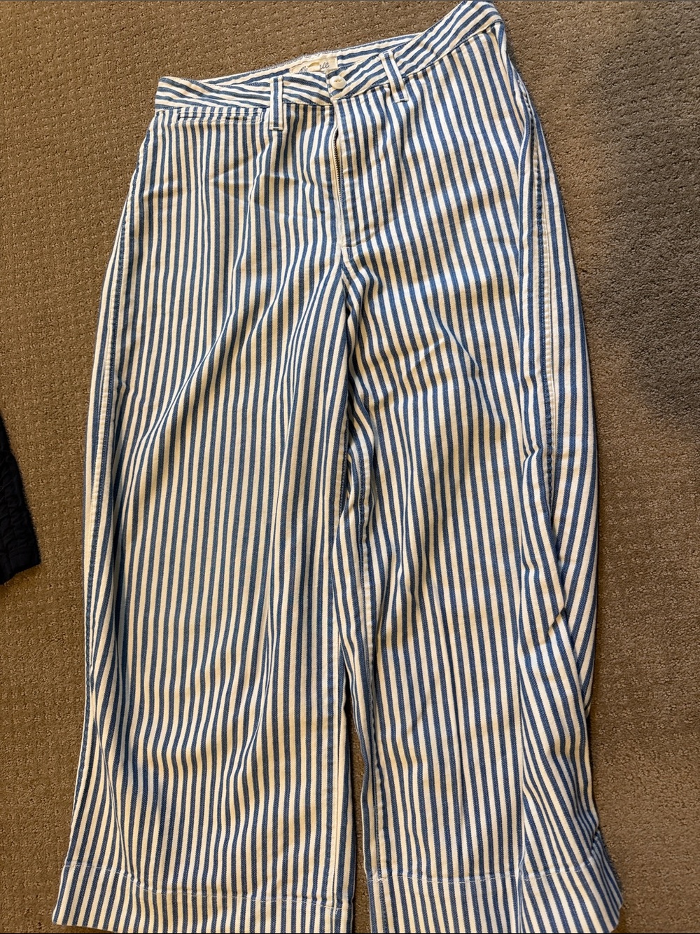Madewell Blue and White Vertical Stripe Wide-Leg pants